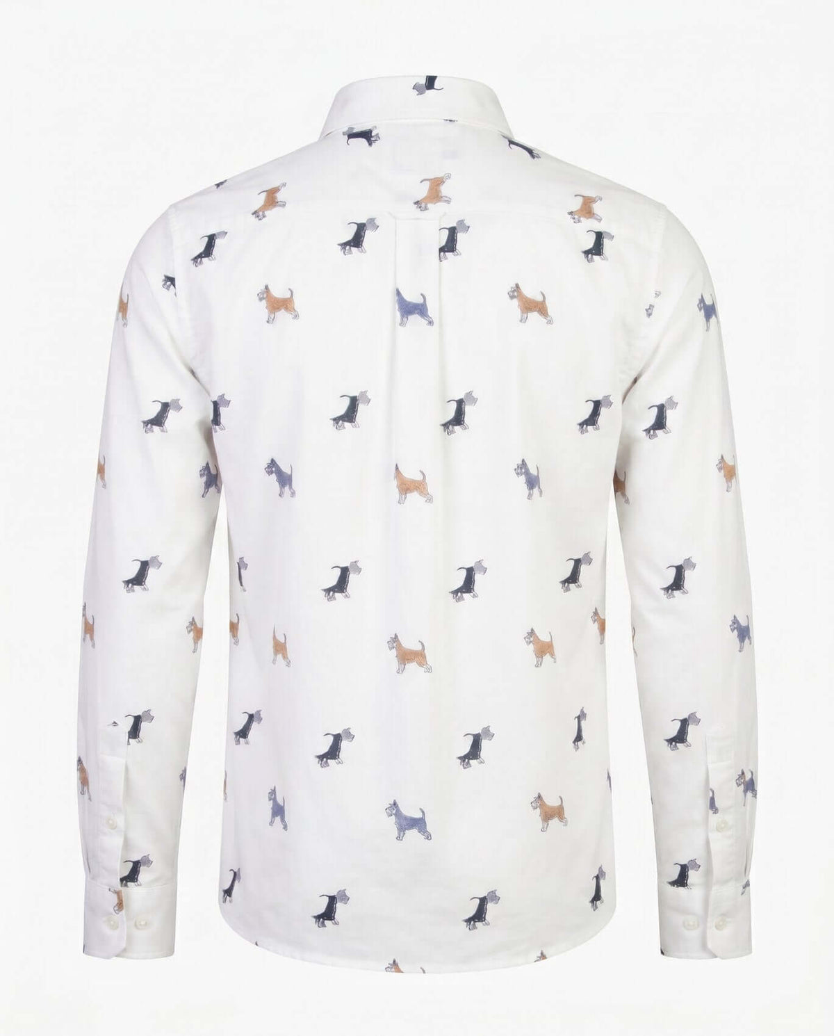 Scotty Standard Button Down Shirt