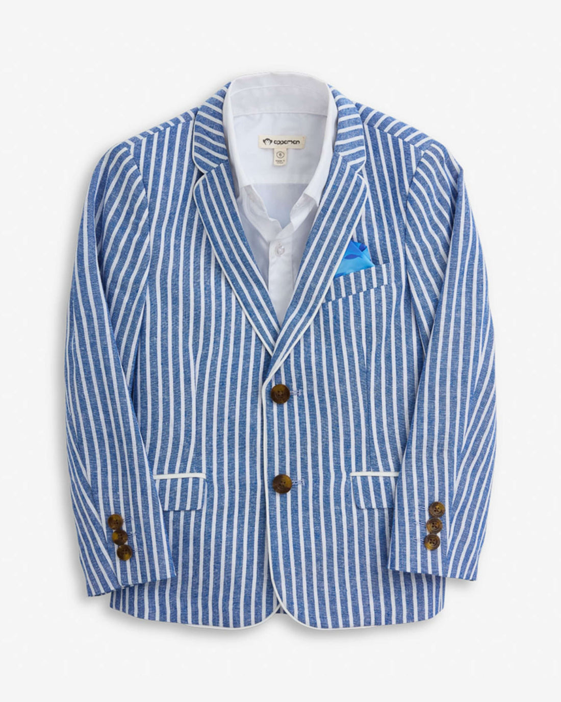 Linen Canopy Stripe Club Blazer