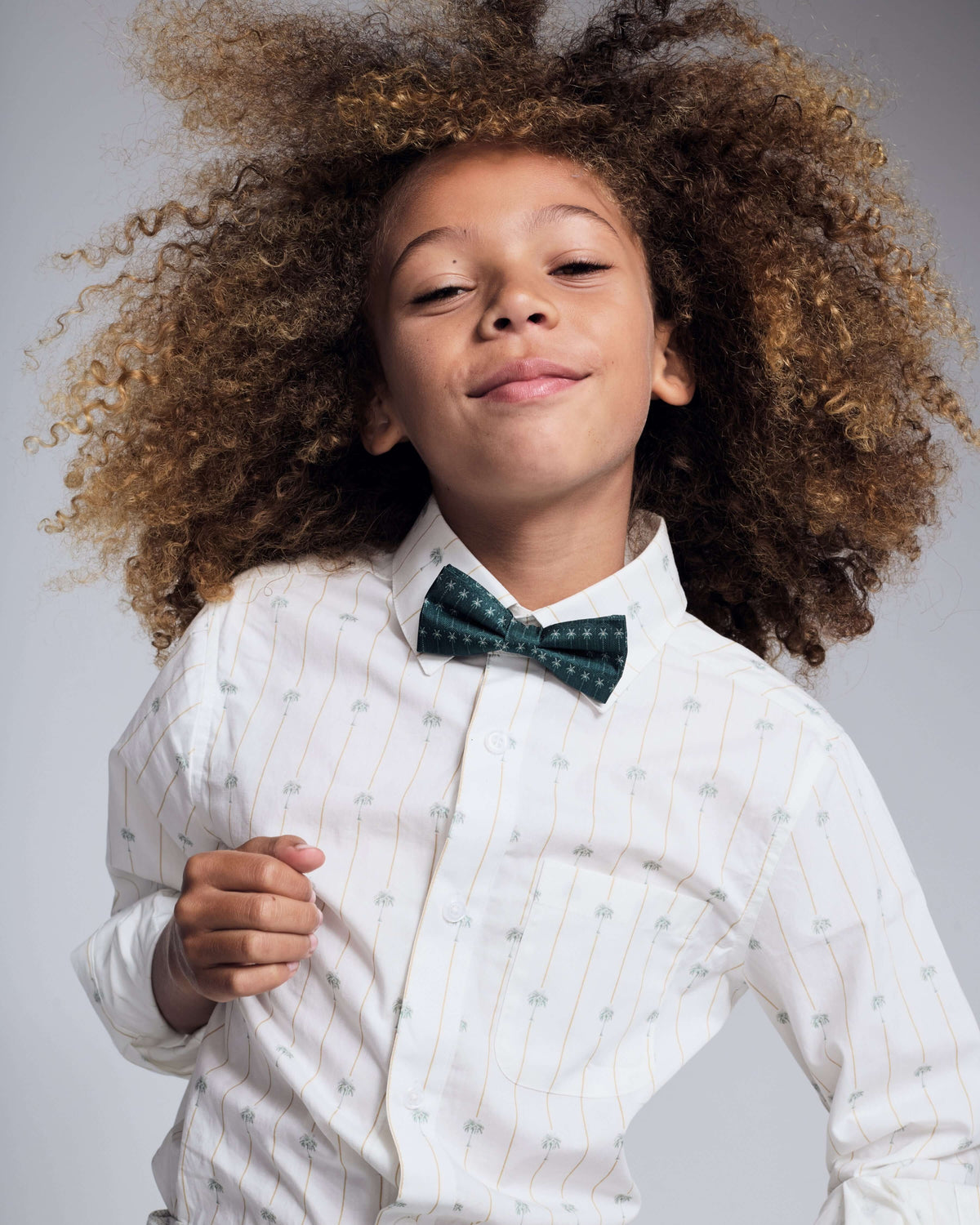 Palm Stripe Standard Button Down Shirt