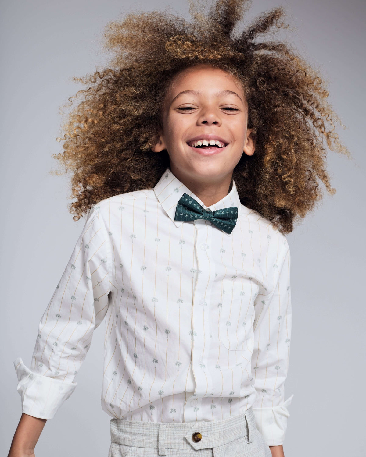 Silk Luxury Palms Bow Tie