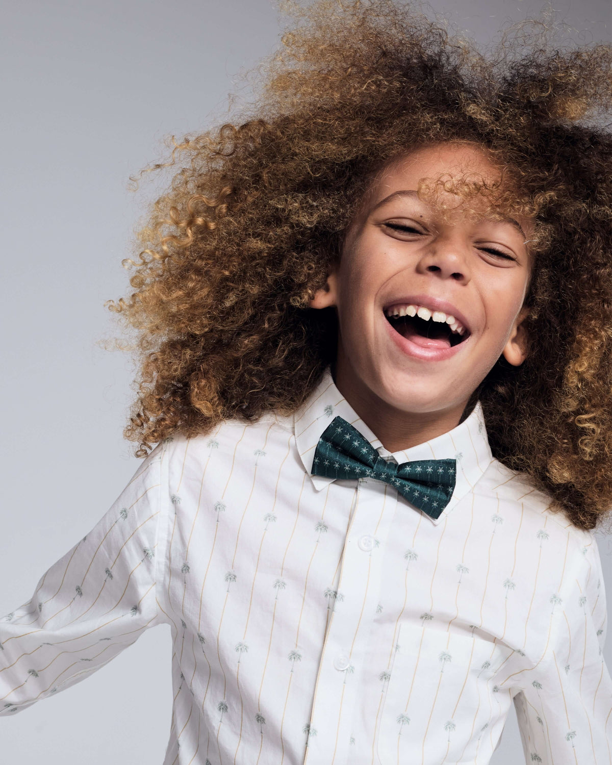 Silk Luxury Palms Bow Tie