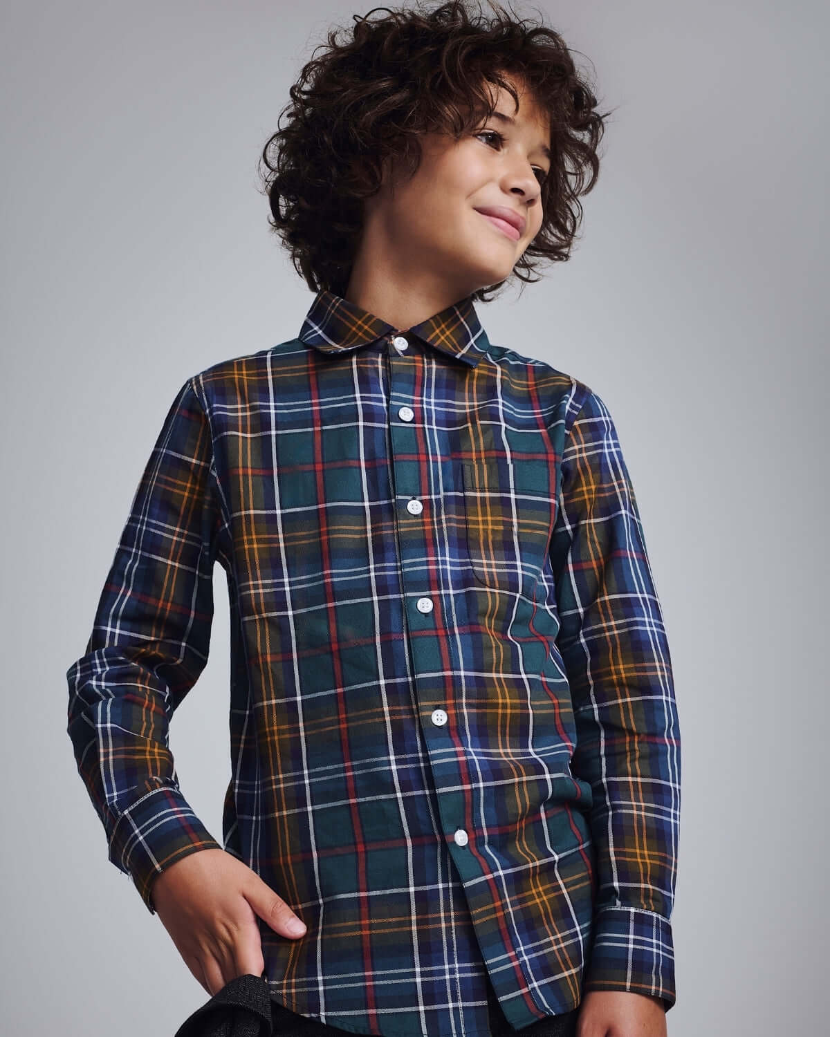 Lakeside Plaid Standard Button Down Shirt