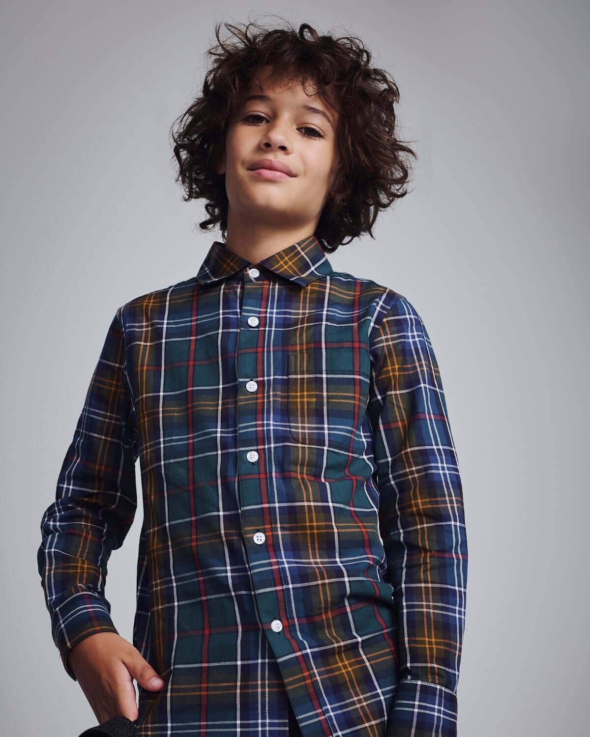 Lakeside Plaid Standard Button Down Shirt