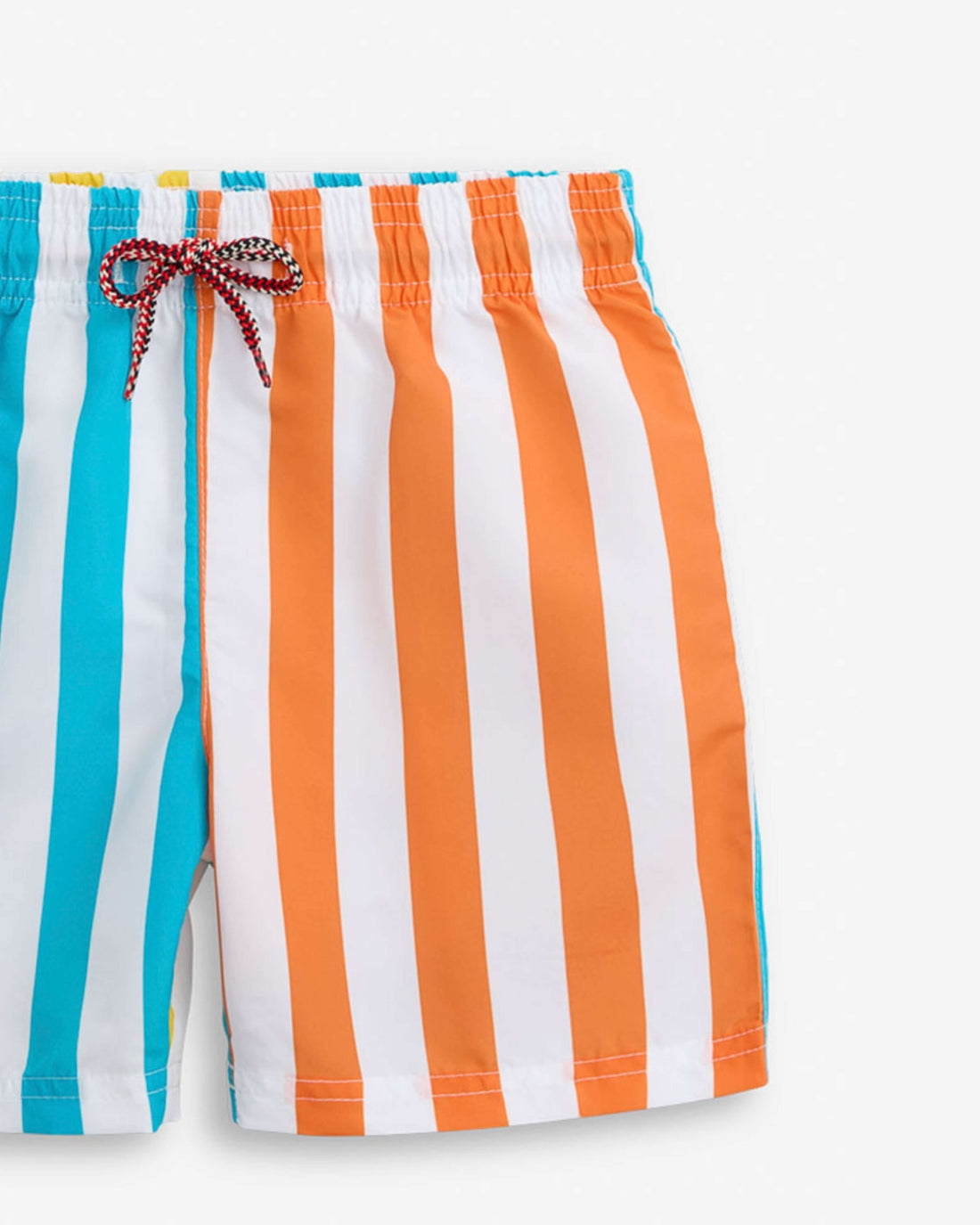Tropic Stripes Swim Trunks