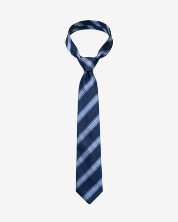 Blue Stripe Tie