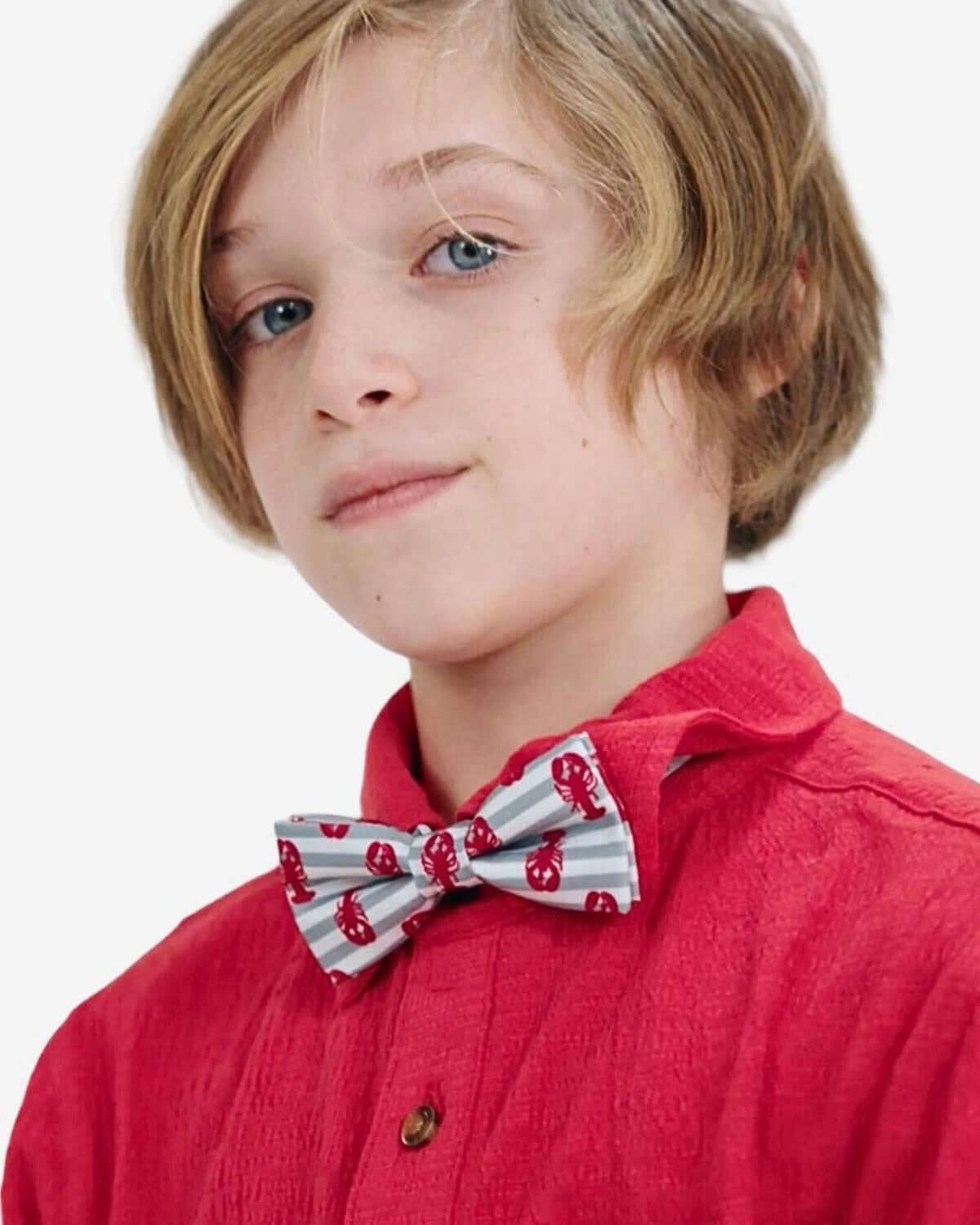 Lobster Stripe Bow Tie