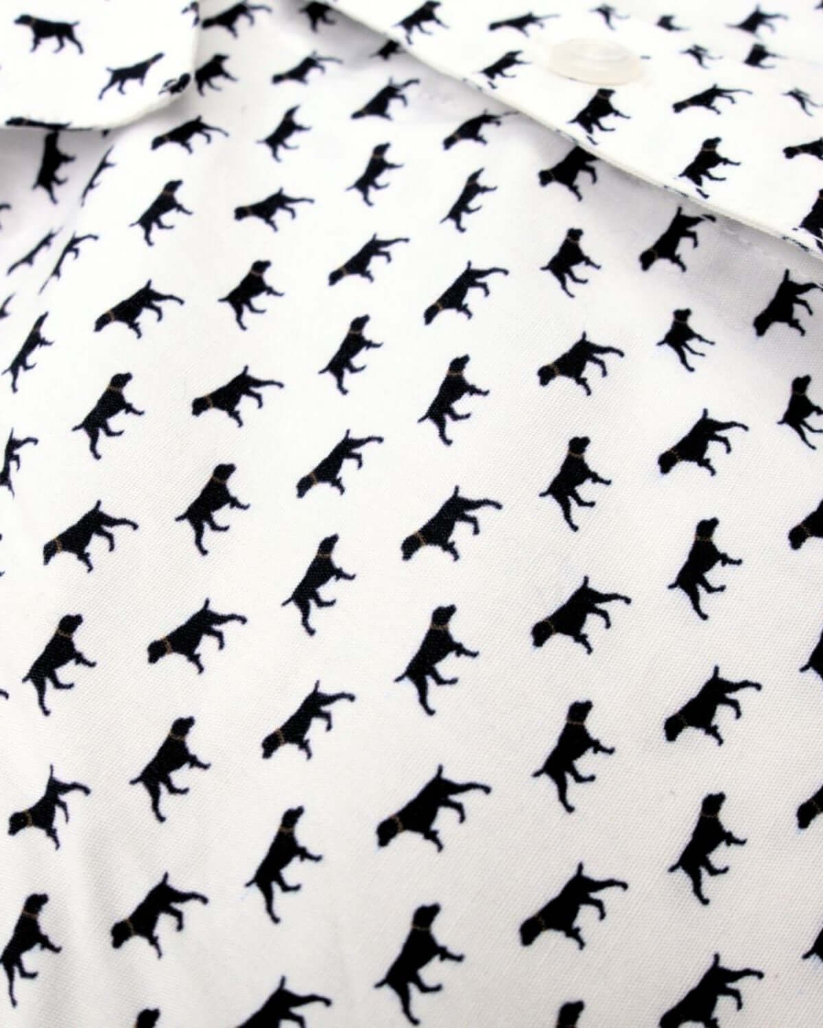 The Pointer Standard Button Down Shirt