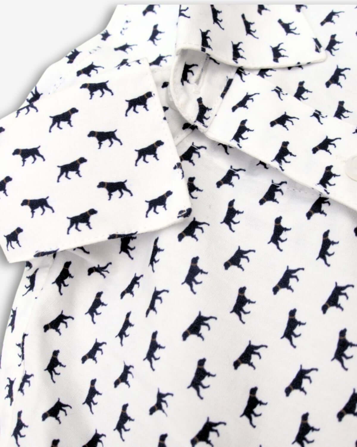 The Pointer Standard Button Down Shirt