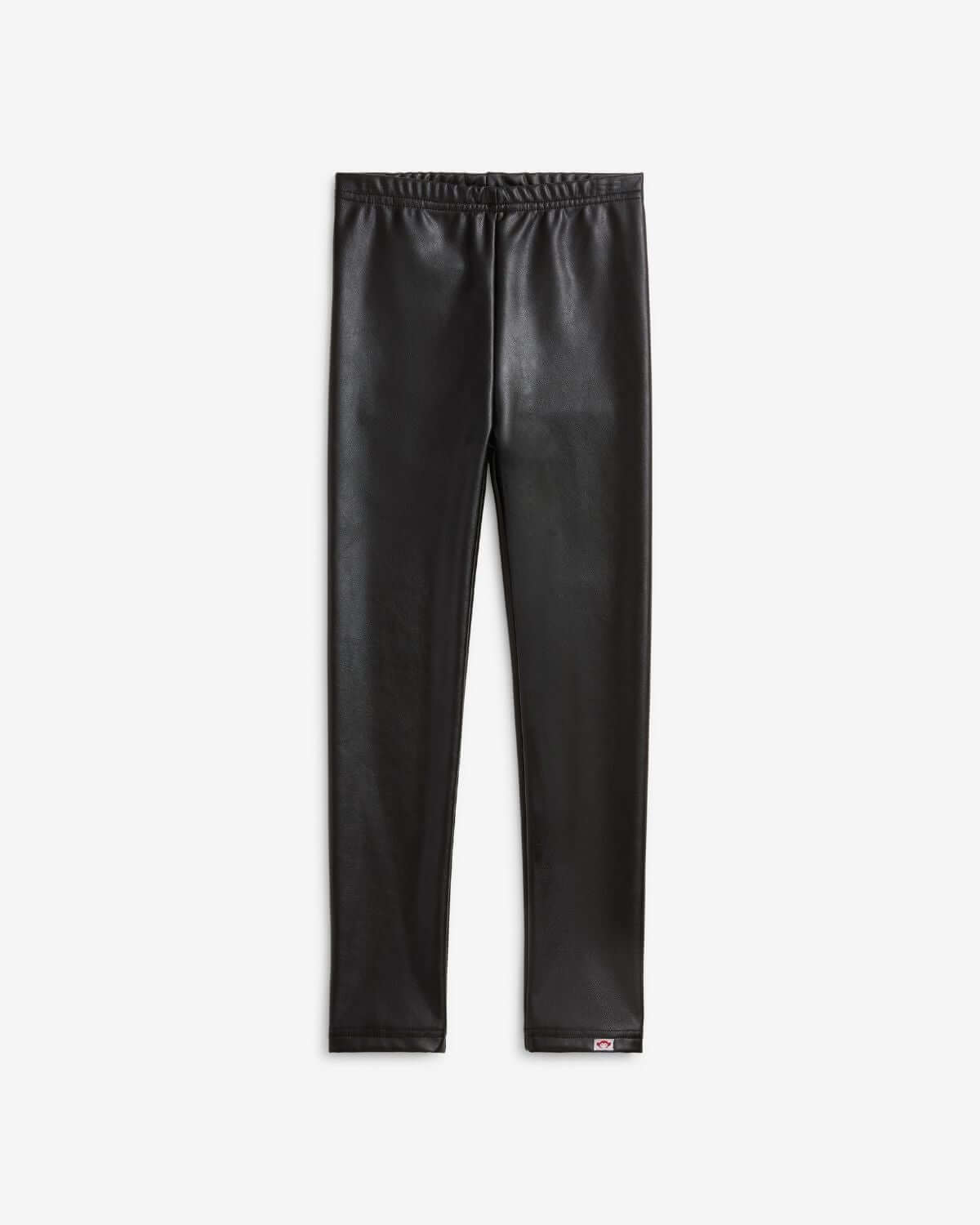 Black Shine Leggings